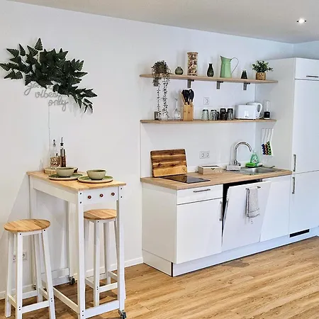 Altstadt Insel - Workaction - Free Parking - Audi - Balkon - Aufzug * 잉골슈타트