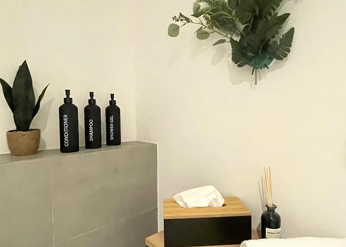 Lejlighed Altstadt Insel - Workaction - Free Parking - Audi - Balkon - Aufzug *