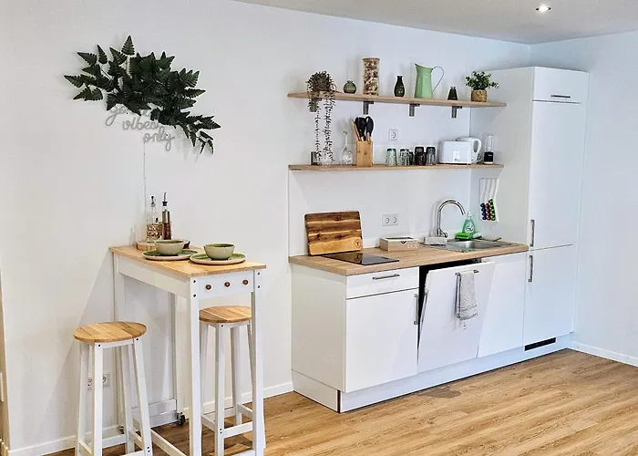 Altstadt Insel - Workaction - Free Parking - Audi - Balkon - Aufzug * Ingolstadt